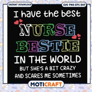 I have the best nurse bestie in the world svg, funny svg, crazy nurse svg