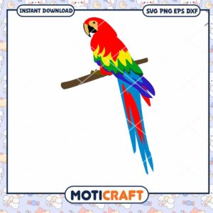 Parrot Colorful svg, Parrot Scarlet macaw svg, Parrot svg