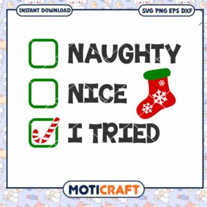 Naughty Nice I Tried svg, Stocking svg, merry christmas svg