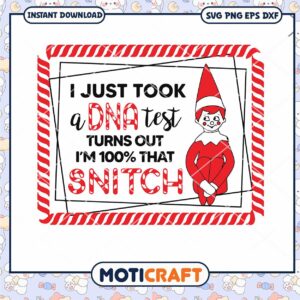 I Just Took DNA Test Turns Out I’m 100% That Snitch SVG, Snitch elf SVG