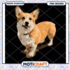 Cute Corgi PNG Design Instant Download 2 Cute Corgi PNG Design Instant Download