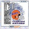 Florida Gators Its in My DNA PNG Design Instant Download