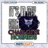 Charlotte Hornets DNA PNG Design Instant Download Art