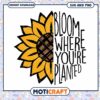 Sunflower SVG Bloom Where Youre Planted 2 Sunflower SVG Bloom Where Youre Planted