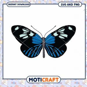 Blue Butterfly SVG PNG Instant Download